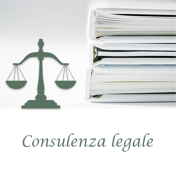 Avvocato Daniela Vitale - Consulenza legale online (a distanza)